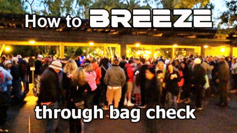 Five Ways to Help you Breeze Through Disney Bag Check