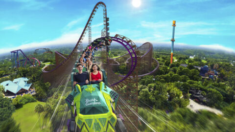 NEW ROLLER COASTERS “ICE BREAKER” AND “IRON GWAZI” AMPLIFY THRILLS AT SEAWORLD AND BUSCH GARDENS