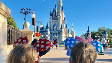 Five Reasons Why Rope Drop at Magic Kingdom is a Must