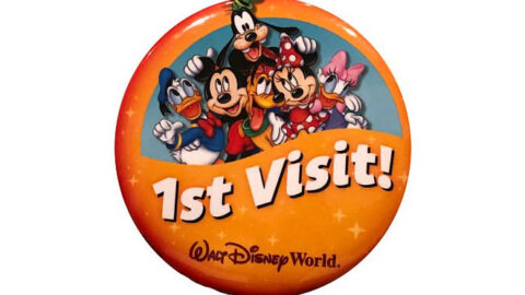 Six FREE Souvenirs to Find at Walt Disney World