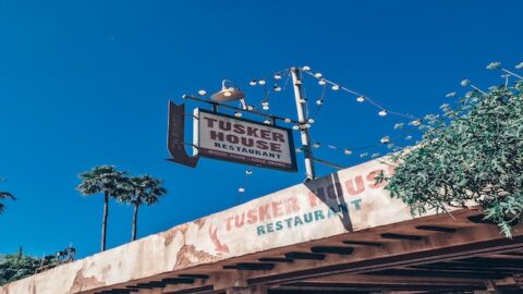 Review: Tusker House Character Breakfast in Disney’s Animal Kingdom