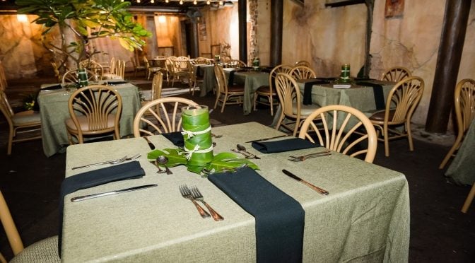 The Private Party of Your Dreams: A Disney Catered Event