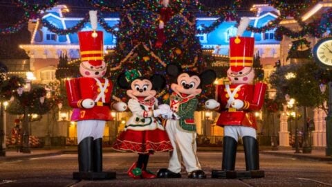 When Do the Holiday Decorations Go Up in Walt Disney World?