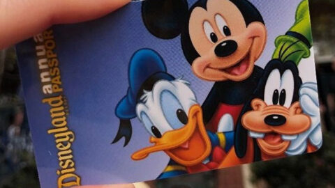 REVIEW: Disneyland’s Newest Annual Pass: Flex Pass