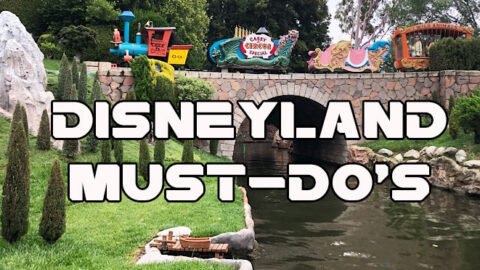 12 Disneyland Must-Do’s for Disney World Regulars