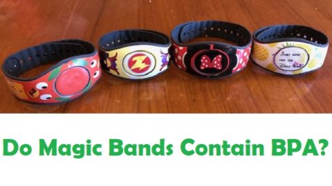 Do Magic Bands Contain BPA ?