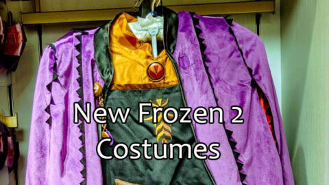 Frozen 2 costumes receive a warm welcome to Walt Disney World