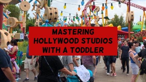 Touring Hollywood Studios with a Toddler