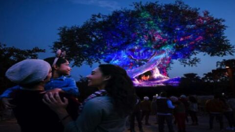 Take a Peek at New Holiday Decor at Disney’s Animal Kingdom