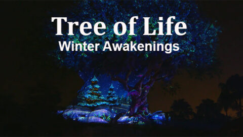 Disney parks reveals teaser for the Tree of Life Winter Awakenings