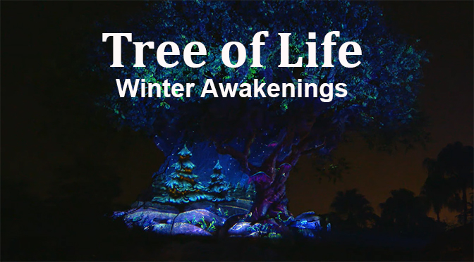 Tree of Life Winter Awakenings