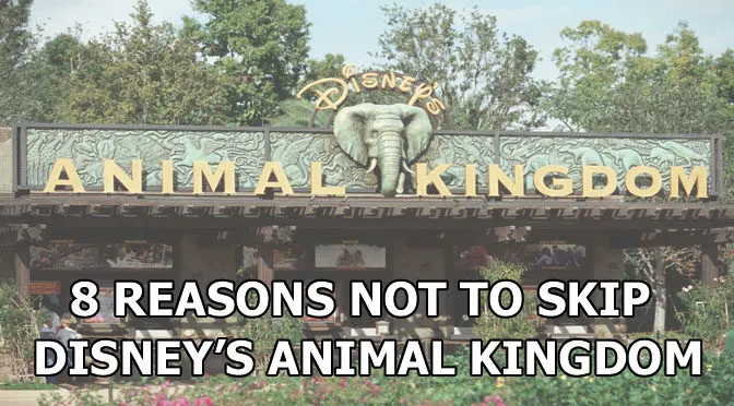 8 Reasons Not to Skip Disney's Animal Kingdom