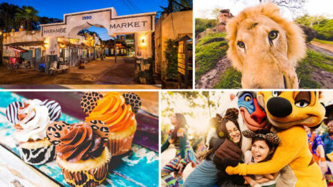 “Circle of Flavors: Harambe at Night” Returning to Animal Kingdom