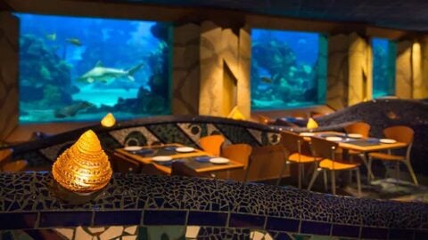 The Little Mermaid 30th Anniversary Menu Now Available at Coral Reef Restaurant