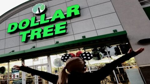 DOLLAR TREE TO DISNEY: 20 IDEAS FOR A MEMORABLE CHARACTER MEET AND GREET
