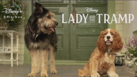 Shelter Dog Stars in Disney’s ‘Lady and the Tramp’
