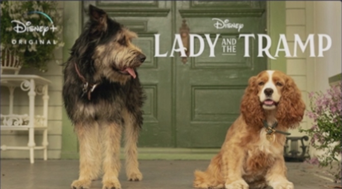 Shelter Dog Stars in Disney's 'Lady and the Tramp'