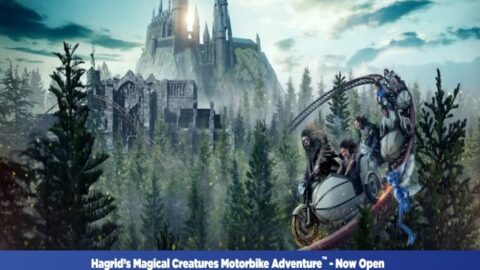 Universal’s Hagrid’s Magical Motorbike Adventure closed for a very unusual reason