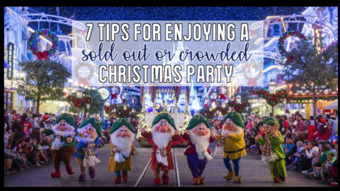 7 Tips for Enjoying a Sold Out or Crowded Christmas Party