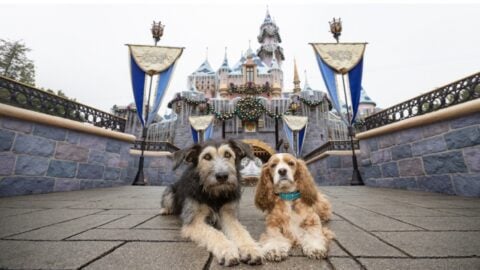 “Lady and the Tramp” Disney+ Canine Stars have a Playdate at Disneyland!