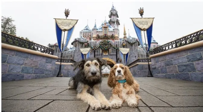 "Lady and the Tramp" Disney+ Canine Stars have a Playdate at Disneyland!