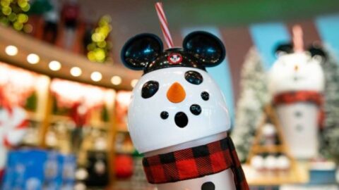 Black Friday Deals Announced at World of Disney in Disney Springs and Downtown Disney