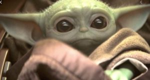 "Baby Yoda" Spirit Jerseys and Apparel Spotted at Animal Kingdom