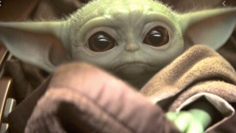 “Baby Yoda” Spirit Jerseys and Apparel Spotted at Animal Kingdom