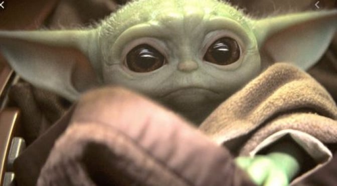 "Baby Yoda" Spirit Jerseys and Apparel Spotted at Animal Kingdom