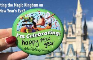 Experiencing Magic Kingdom on New Year's Eve