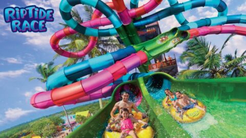 Aquatica to Add Dueling Race Slide in 2020