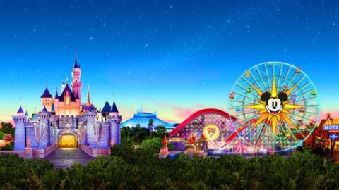 Review: My Experience with The Disneyland Resort MaxPass