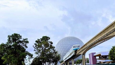 Temporary Starbucks Location to Open at Epcot