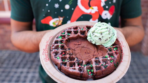 Holiday Treats have arrived at the Magic Kingdom!