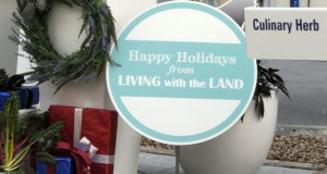 EPCOT'S Living with the Land: New Holiday Overlay