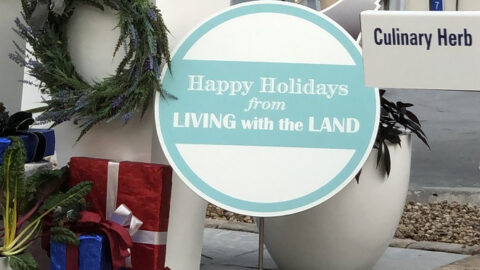 EPCOT’S Living with the Land: New Holiday Overlay