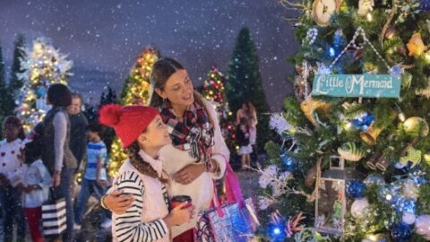 Disney Springs Announces Tree Themes for 2019 Christmas Tree Trail