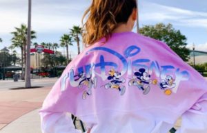 New RunDisney Merchandise to be Available at 2020 Walt Disney World Marathon Weekend