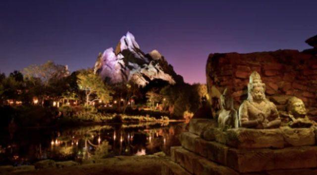 A Review of Animal Kingdom After Hours