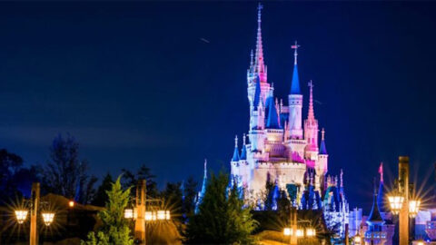 6 Reasons to visit Magic Kingdom