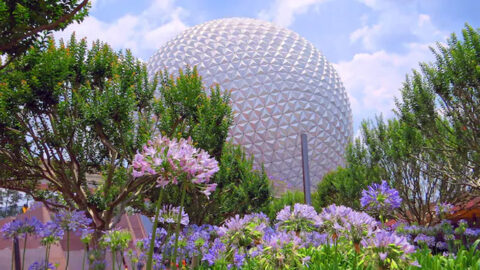 Epcot 2020 International Flower and Garden Festival: Guided Tours