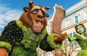 Events and Activities at Disney World March 2020