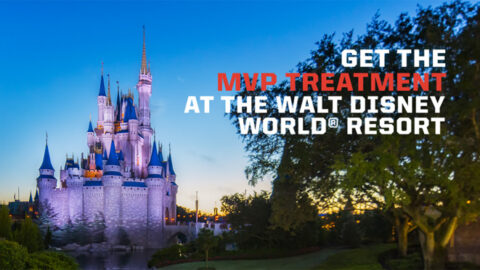 Win a Night in Cinderella Castle Courtesy of the NFL