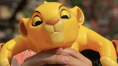 Dear Disney World, Please Give us this Simba Popcorn Bucket!