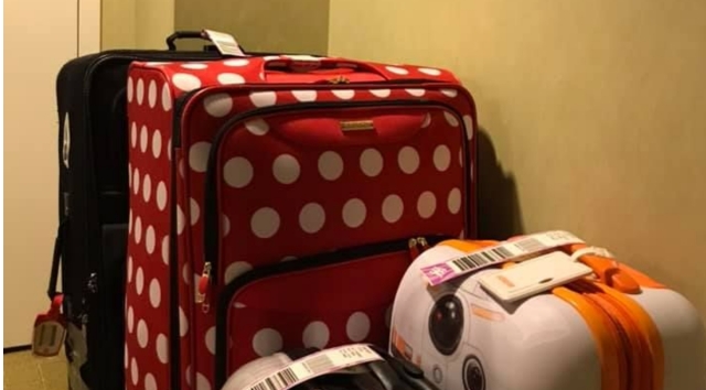 disney cruise luggage transfer