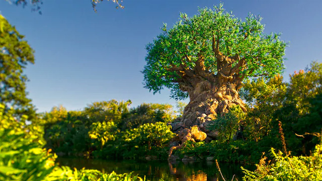 Disney's Animal Kingdom Park Set to Host Multi-Day Celebration in Honor of Earth Day