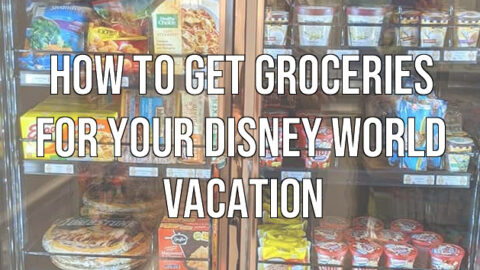 How to Get Groceries for Your Disney World Vacation