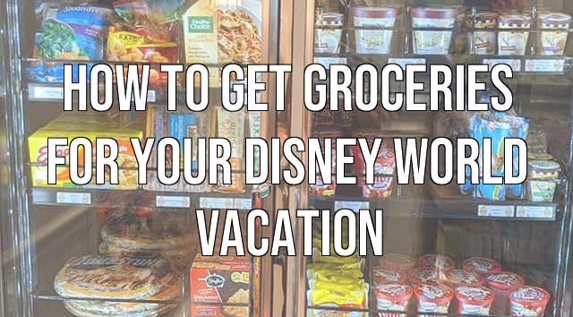 How to Get Groceries for Your Disney World Vacation