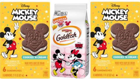 Disney Snacks Make Their Way to Your Local Grocery Store