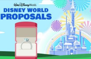 Did You Have a Magical Engagement at Disney World?
